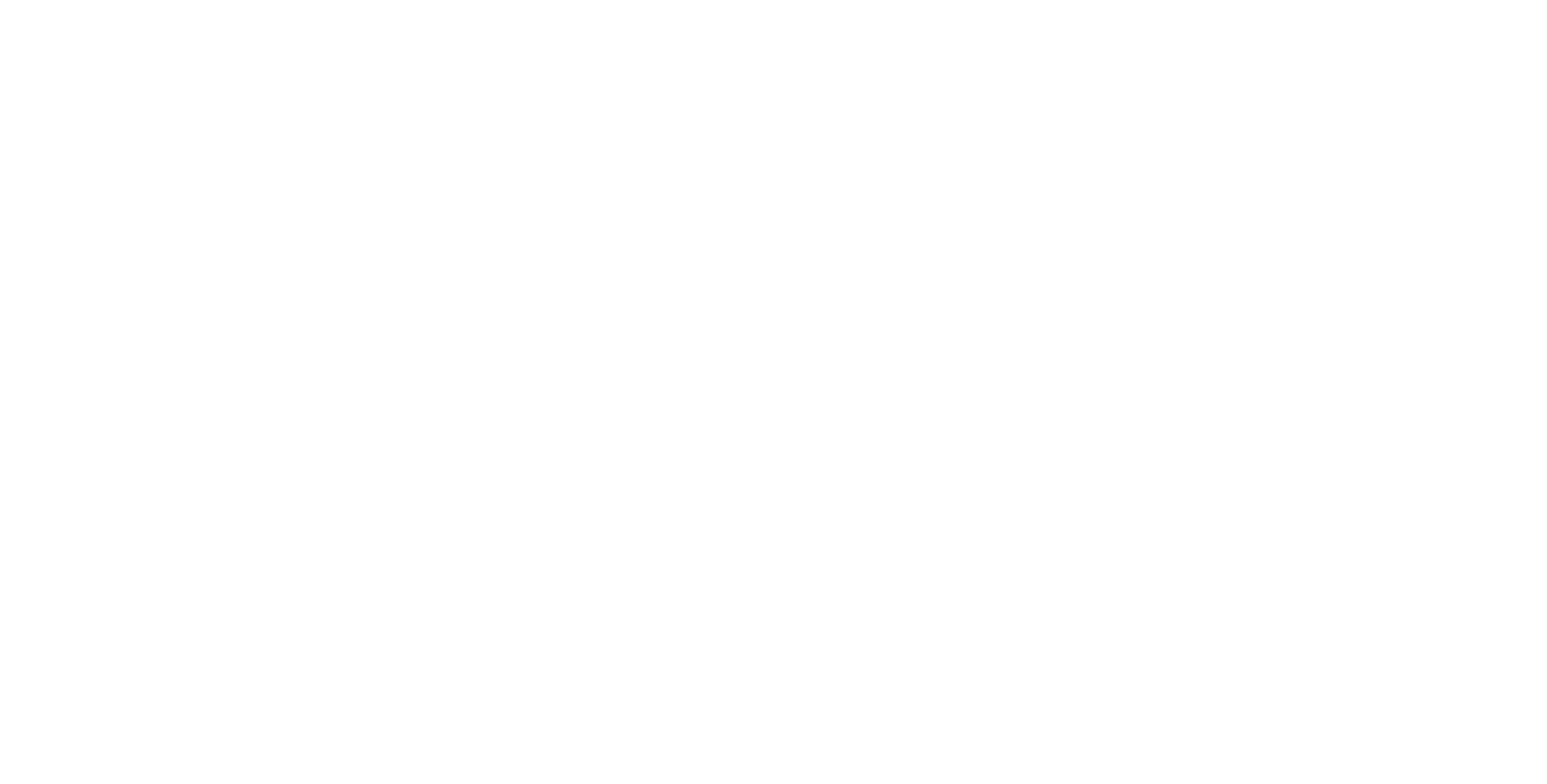 JD Bridges Logo in white